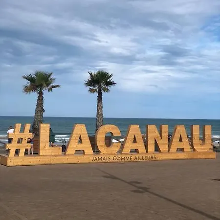 Le 53, Vue Ocean Panoramique Appartement Lacanau